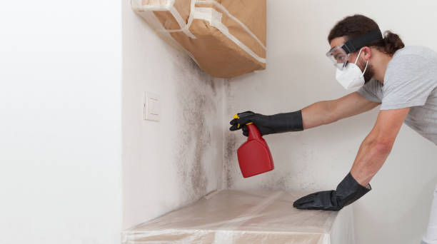 Professional Bathroom Mold Removal technician working in Bowie, TX
