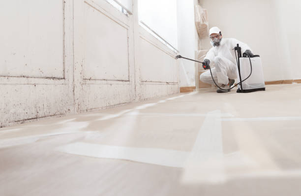 24/7 Emergency Bathroom Mold Removal experts in Bowie, TX